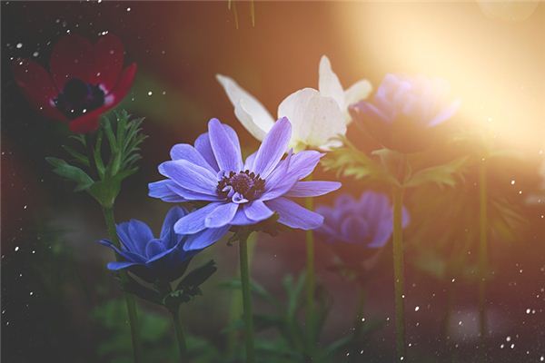 女兒名字 詩經(jīng)