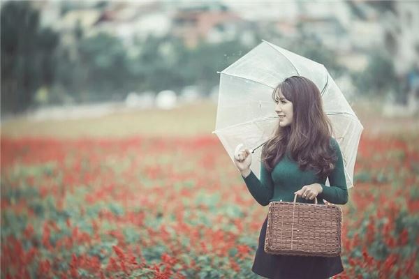 公司起名_個性名字