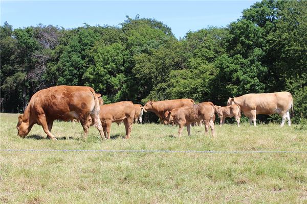 姓名得分測試_孫容