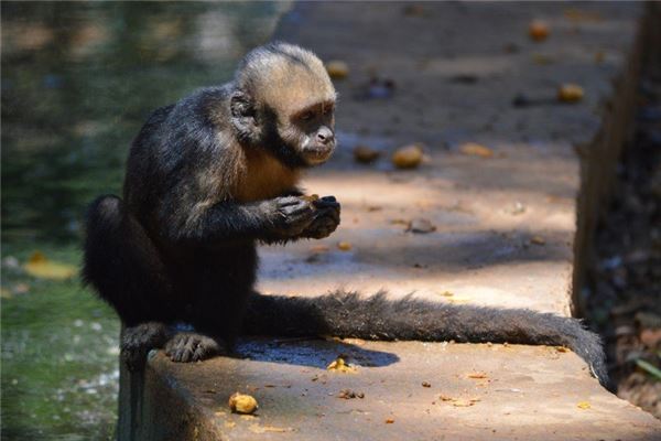 徐志琦的姓名打分結(jié)果_徐志琦五行分析