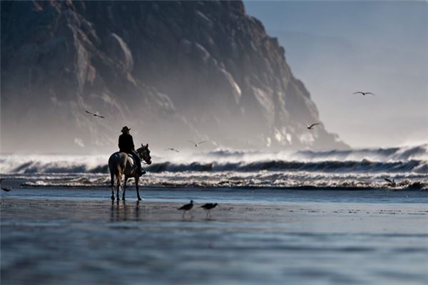 徐玉元的姓名打分結果_徐玉元五行分析