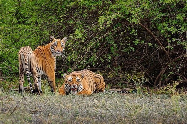 寶寶起名:吳欣笑